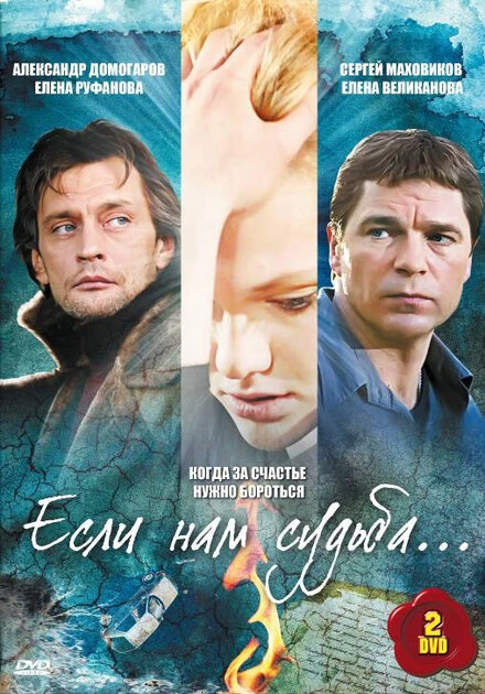 Постер Если нам судьба 2009