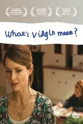 Что значит virgin? 2008 постер