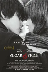 Сахар и перец 2006 постер