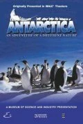 Постер Антарктика: Путешествие в неизвестную природу 1991