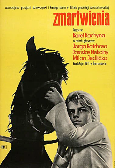 Постер Терзания 1961