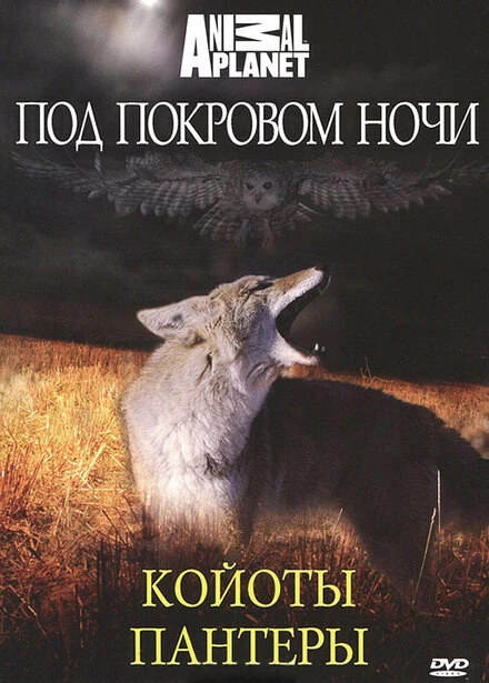 Постер Под покровом ночи 2009