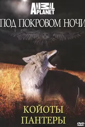 Под покровом ночи 2009 постер