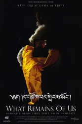 Что от нас осталось 2004 постер