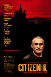 Гражданин Х 2019 постер