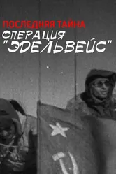 Операция Эдельвейс. Последняя тайна 2012 постер