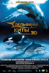 Дельфины и киты 3D 2008 постер