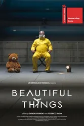 Красивые вещи 2017 постер
