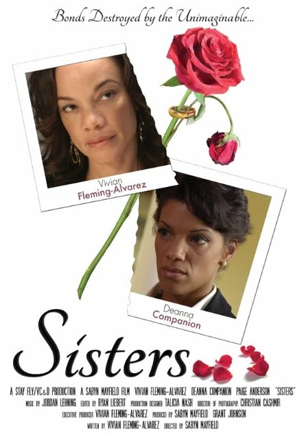 Постер Sisters 2014, США