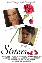 Sisters 2014, США постер