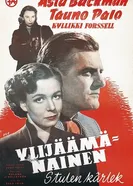 Ylijäämänainen постер
