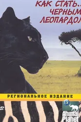 Animal Planet: Как стать... 2003 постер