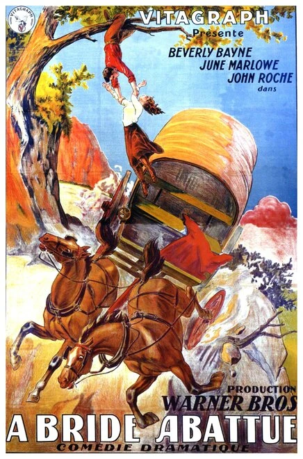 Постер The Tenth Woman