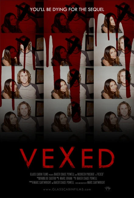 Постер Vexed 2016