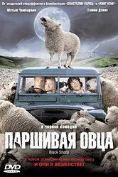 Паршивая овца 2006 постер