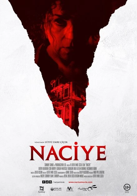 Постер Наджие 2015