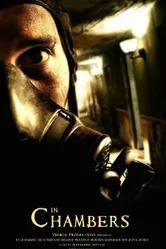 В камерах 2008 постер