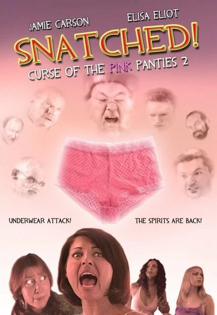 Постер Snatched!