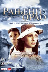 Раненый орёл 2009 постер