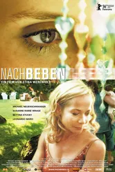 Nachbeben постер