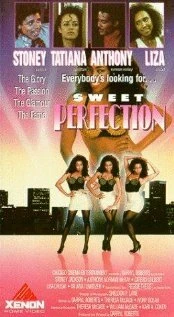 Постер The Perfect Model
