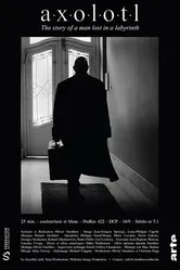Аксолотль 2018 постер