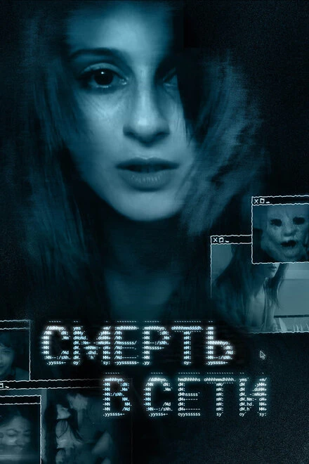 Постер Смерть в сети 2013