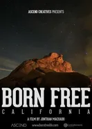 Born Free: California постер
