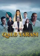 Рана сердца постер