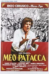 Мео Патакка 1972 постер