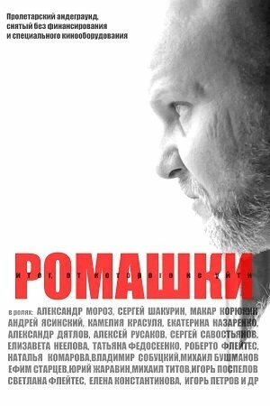 Постер Ромашки 2023