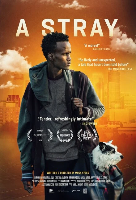 Постер A Stray 2016