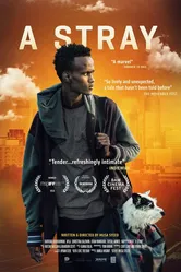 A Stray 2016 постер