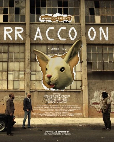 Постер Rraccoon