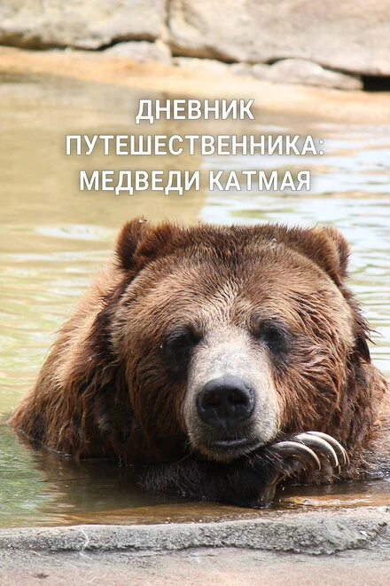 Постер Дневник путешественника: Медведи Катмая 2022