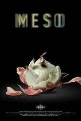Meso постер