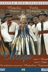 Мужики 1973 постер