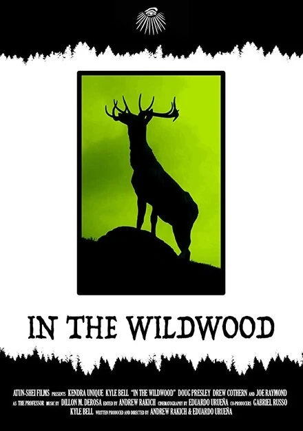 Постер In the Wildwood