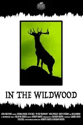 In the Wildwood постер