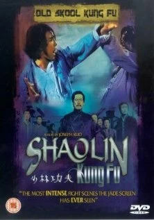 Постер Тайное боевое искусство Шаолиня 1994