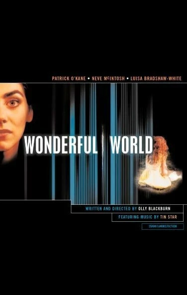 Постер Wonderful World 1998