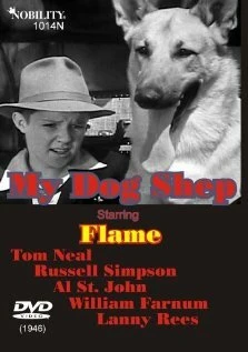 Постер My Dog Shep