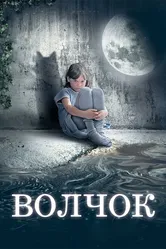 Волчок 2009 постер