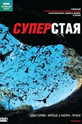 BBC: Суперстая 2009 постер
