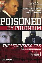 Бунт. Дело Литвиненко 2007 постер