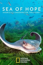 Sea of Hope: America's Underwater Treasures постер