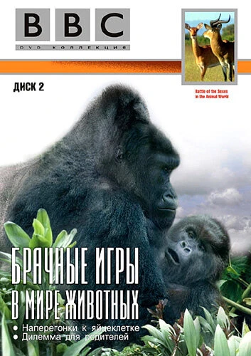 Постер BBC: Брачные игры в мире животных 1999