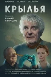 Крылья 2023 постер