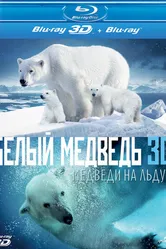 Полярные медведи 2012 постер