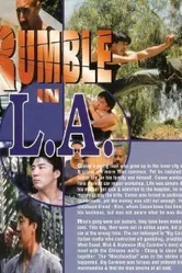Разборка в Лос-Анджелесе 1996 постер